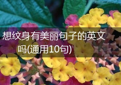 想纹身有美丽句子的英文吗(通用10句)