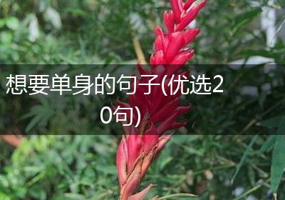 想要单身的句子(优选20句)