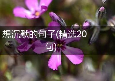 想沉默的句子(精选20句)