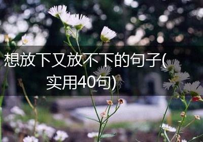 想放下又放不下的句子(实用40句)