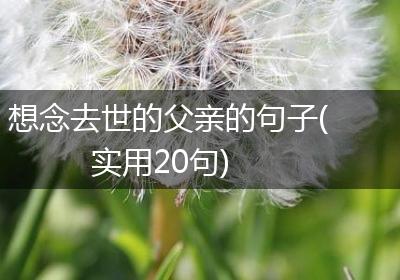 想念去世的父亲的句子(实用20句)
