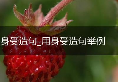 身受造句_用身受造句举例