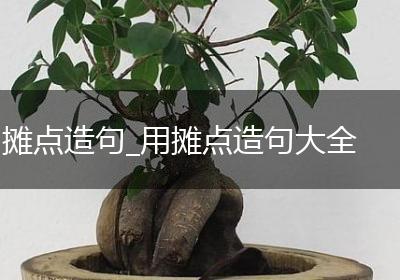 摊点造句_用摊点造句大全