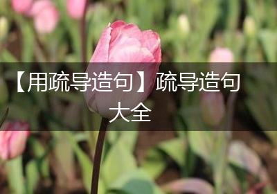 【用疏导造句】疏导造句大全