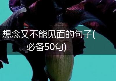 想念又不能见面的句子(必备50句)
