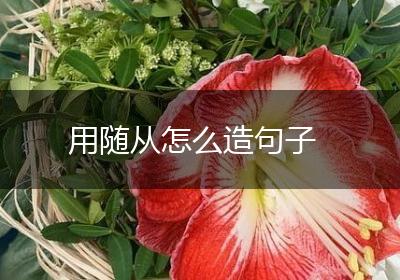 用随从怎么造句子