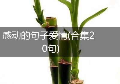 感动的句子爱情(合集20句)