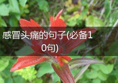 感冒头痛的句子(必备10句)