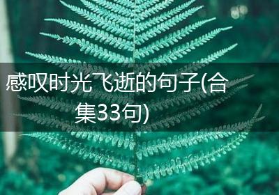 感叹时光飞逝的句子(合集33句)