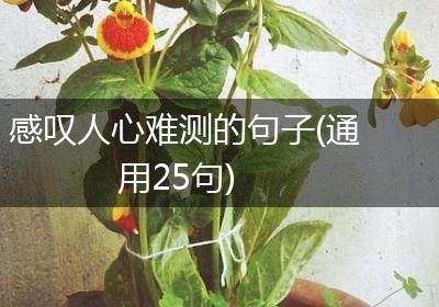 感叹人心难测的句子(通用25句)