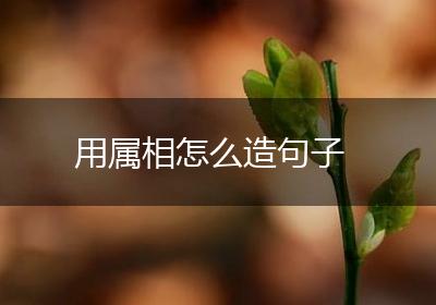 用属相怎么造句子