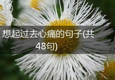 想起过去心痛的句子(共48句)