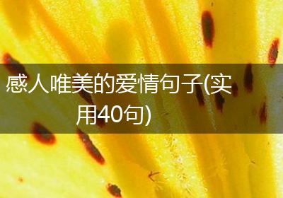 感人唯美的爱情句子(实用40句)