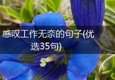 感叹工作无奈的句子(优选35句)