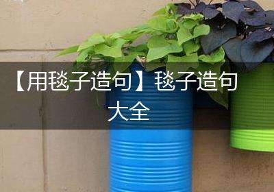 【用毯子造句】毯子造句大全