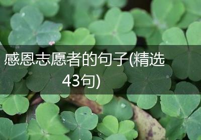 感恩志愿者的句子(精选43句)