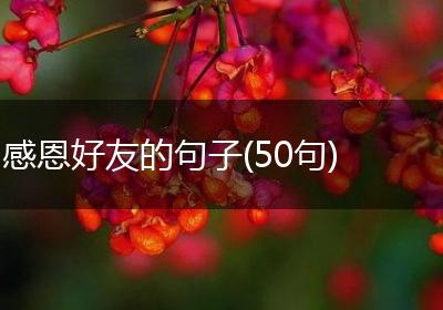 感恩好友的句子(50句)