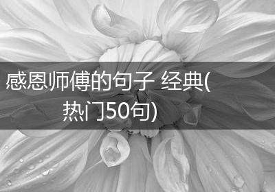 感恩师傅的句子 经典(热门50句)