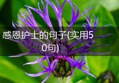 感恩护士的句子(实用50句)