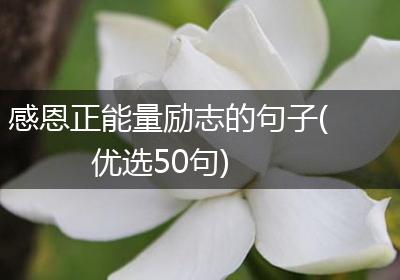 感恩正能量励志的句子(优选50句)