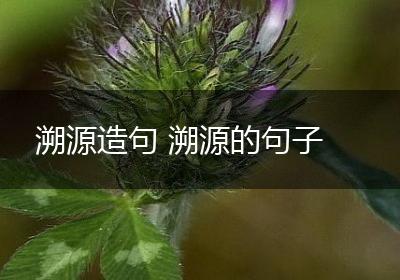 溯源造句 溯源的句子