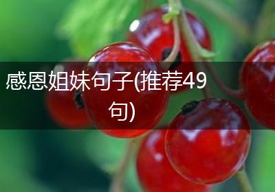 感恩姐妹句子(推荐49句)