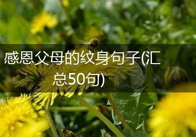 感恩父母的纹身句子(汇总50句)