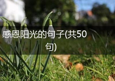 感恩阳光的句子(共50句)