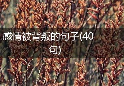 感情被背叛的句子(40句)