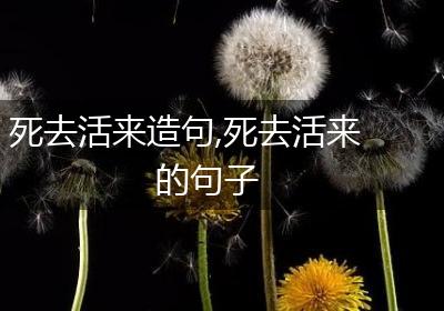 死去活来造句,死去活来的句子