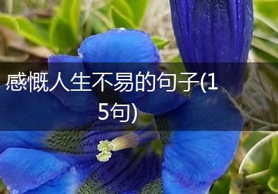 感慨人生不易的句子(15句)