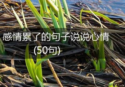 感情累了的句子说说心情(50句)