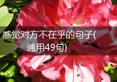 感觉对方不在乎的句子(通用49句)