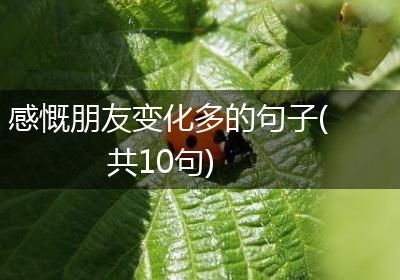 感慨朋友变化多的句子(共10句)