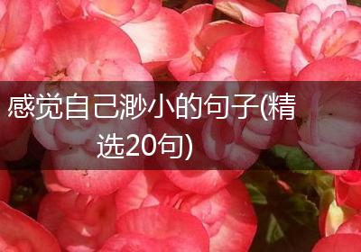 感觉自己渺小的句子(精选20句)