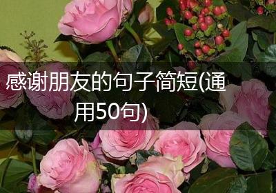 感谢朋友的句子简短(通用50句)