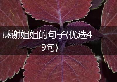 感谢姐姐的句子(优选49句)