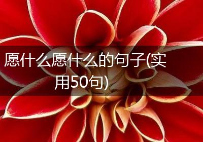 愿什么愿什么的句子(实用50句)