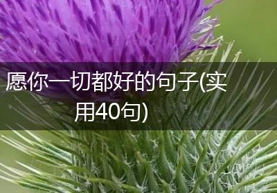 愿你一切都好的句子(实用40句)
