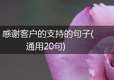 感谢客户的支持的句子(通用20句)