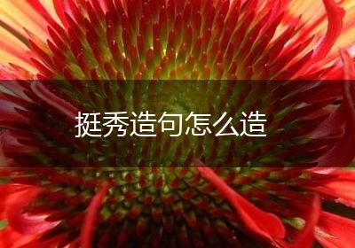 挺秀造句怎么造