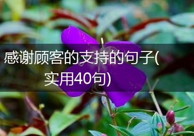 感谢顾客的支持的句子(实用40句)