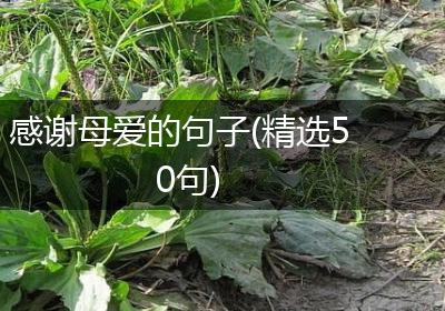 感谢母爱的句子(精选50句)