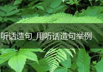 听话造句_用听话造句举例