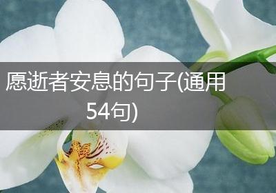 愿逝者安息的句子(通用54句)