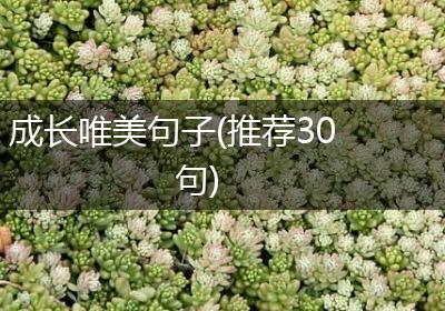 成长唯美句子(推荐30句)