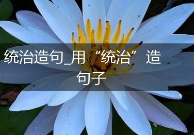 统治造句_用“统治”造句子