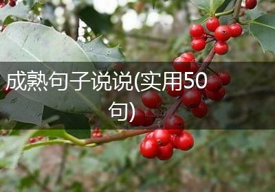 成熟句子说说(实用50句)