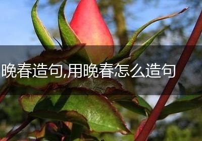 晚春造句,用晚春怎么造句