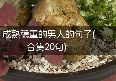 成熟稳重的男人的句子(合集20句)